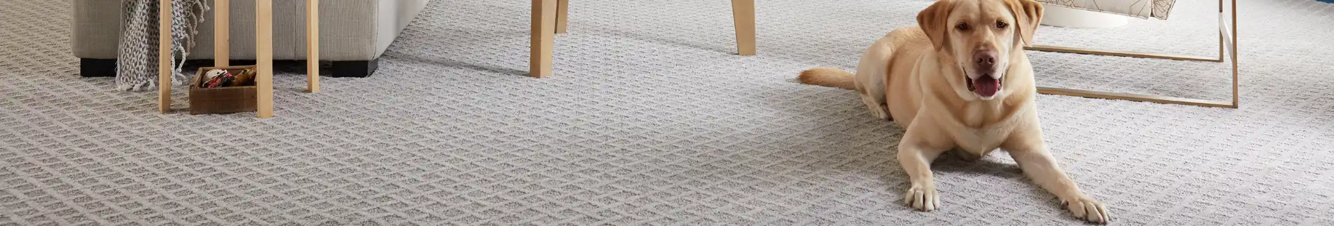 pet-friendly flooring